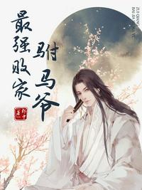 我的谍战岁月