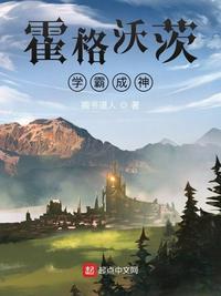 从市府大秘到权力巅峰